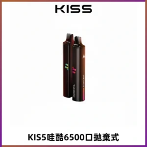 KIS5WAGOO哇酷6500口拋棄式 | 自由混搭雙口味 | 雙芯組合