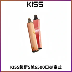 KIS5鎧斯5號一次性6500口磁吸式拋棄式電子煙#自由混搭#